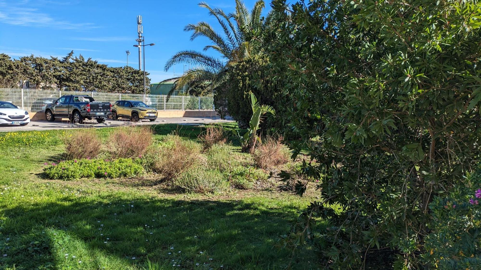 Studio Avec Coin Nuit, 100 M De La Mer Le Lavandou Exterior foto